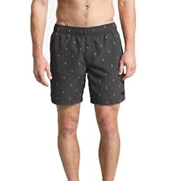The North Face Other - The North Face Men’s Camp Fire Swim Trunks Size L